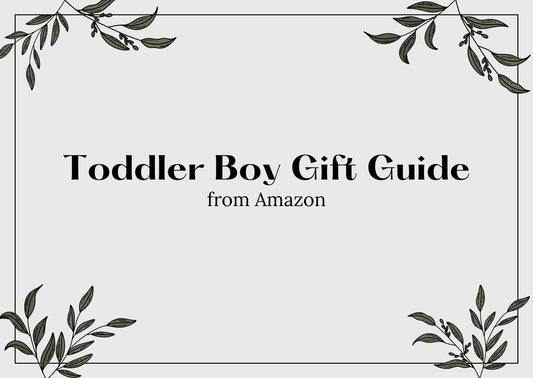 Gift Ideas For Toddler Boys Ages 2-4